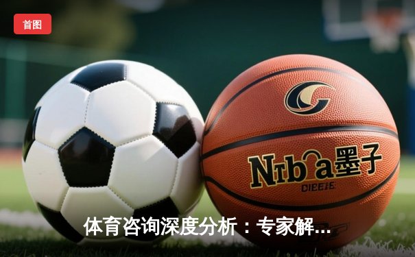 体育咨询深度分析：专家解读