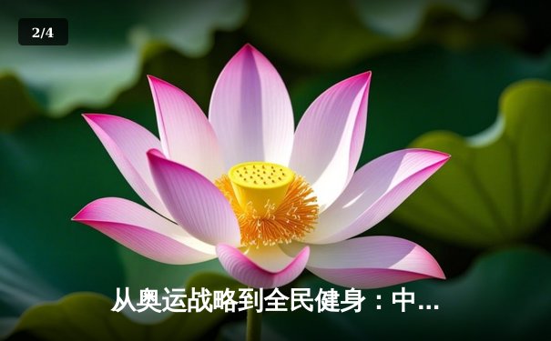 从奥运战略到全民健身：中国体育的转型之路与未来挑战 - 2